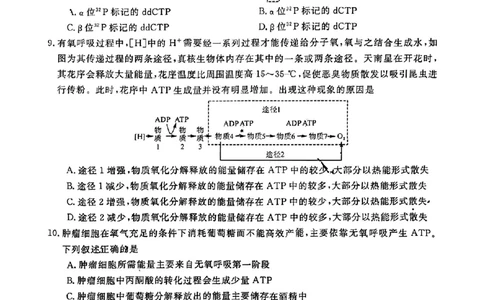 陕西省宝鸡教育联盟2024届高三上学期阶段性检测（二）生物(1)_2023年10月_0210月合集_2024届陕西省宝鸡教育联盟高三上学期阶段性检测（二）