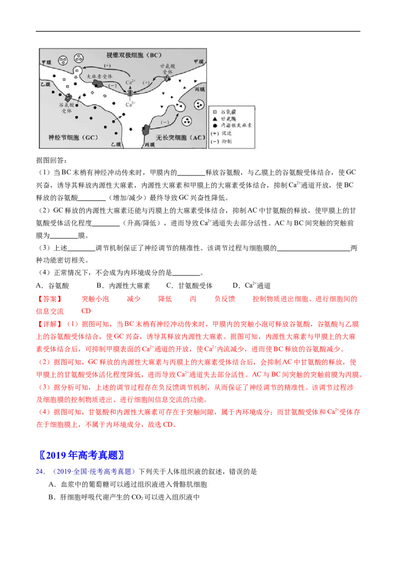 专题13内环境及其稳态-五年（2019-2023）高考生物真题分项汇编（全国通用）（解析版）_赠送：2008-2024全套高考真题_高考生物真题_送高考生物五年真题(2019-2023)分项汇编（全国通用）