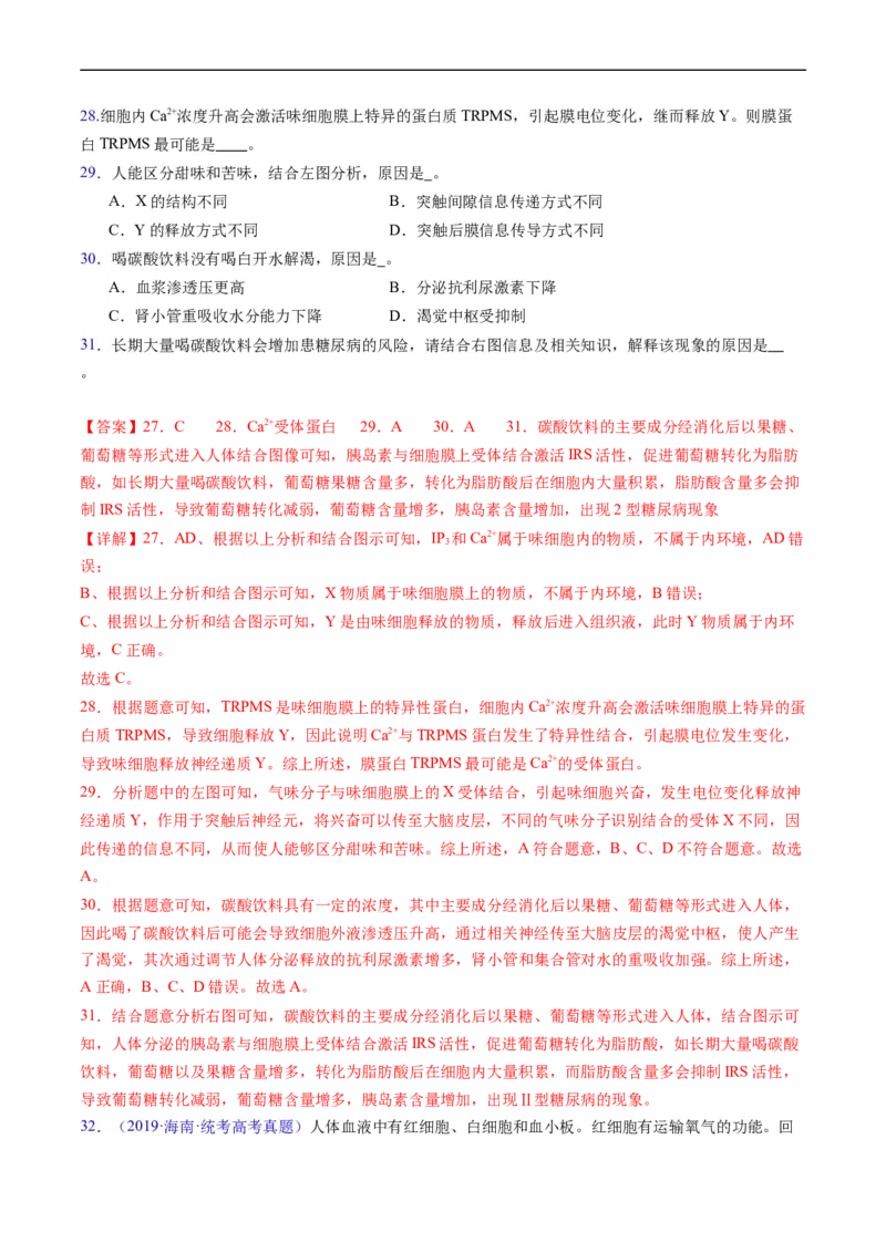 专题13内环境及其稳态-五年（2019-2023）高考生物真题分项汇编（全国通用）（解析版）_赠送：2008-2024全套高考真题_高考生物真题_送高考生物五年真题(2019-2023)分项汇编（全国通用）