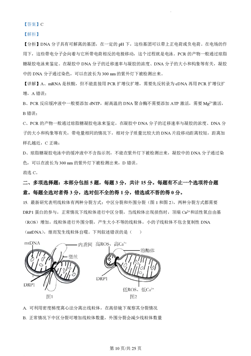 江苏省扬州中学2023-2024学年高三上学期10月月考生物答案(1)_2023年10月_0210月合集_2024届江苏省扬州中学高三上学期10月月考_江苏省扬州中学2024届高三上学期10月月考生物