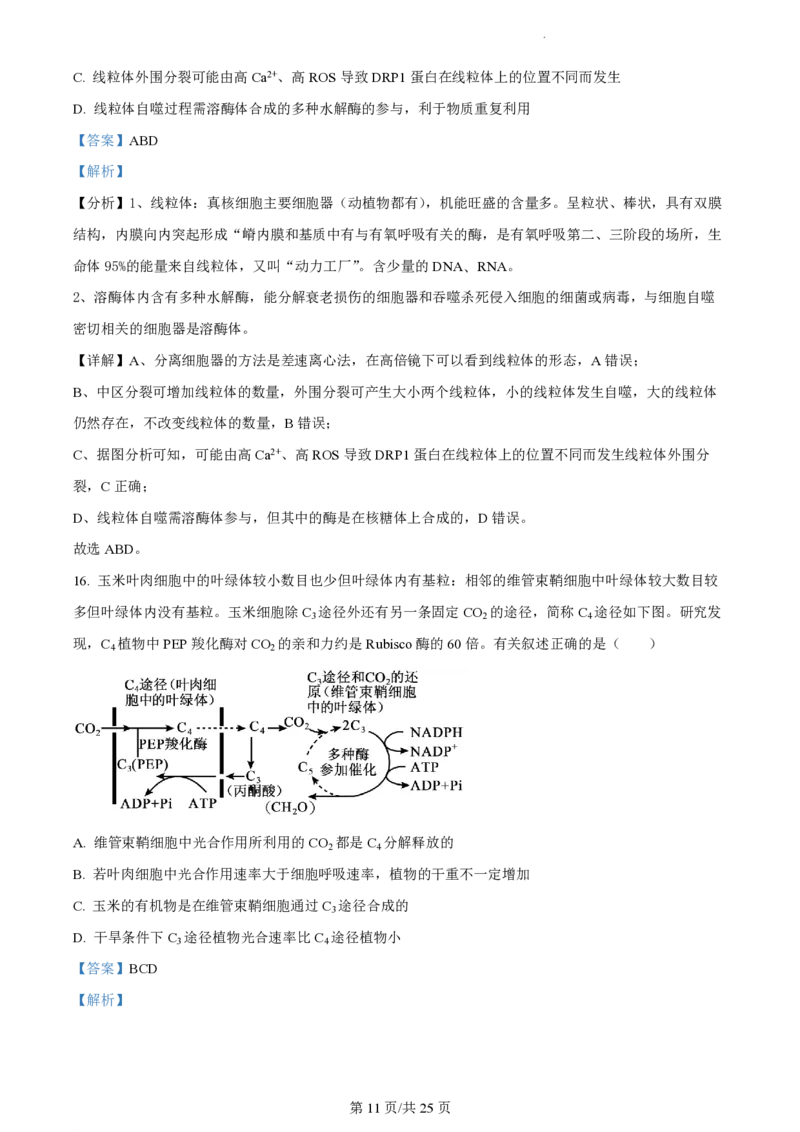 江苏省扬州中学2023-2024学年高三上学期10月月考生物答案(1)_2023年10月_0210月合集_2024届江苏省扬州中学高三上学期10月月考_江苏省扬州中学2024届高三上学期10月月考生物