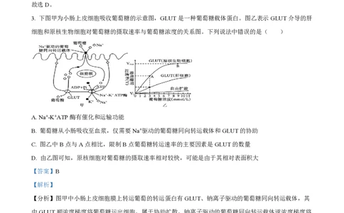 江苏省扬州中学2023-2024学年高三上学期10月月考生物答案(1)_2023年10月_0210月合集_2024届江苏省扬州中学高三上学期10月月考_江苏省扬州中学2024届高三上学期10月月考生物