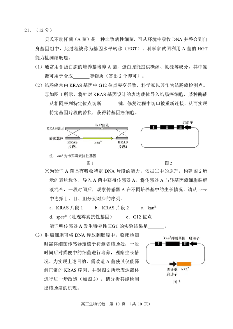 2024北京石景山高三一模生物试题及答案(1)_2024年4月_024月合集_2024届北京市石景山区高三一模