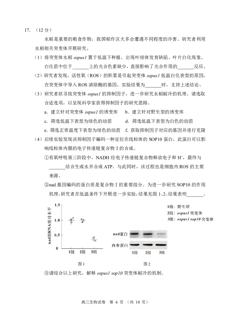 2024北京石景山高三一模生物试题及答案(1)_2024年4月_024月合集_2024届北京市石景山区高三一模