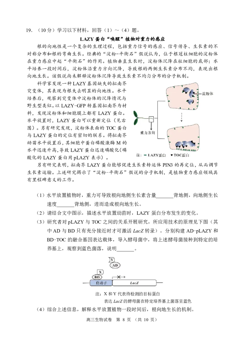 2024北京石景山高三一模生物试题及答案(1)_2024年4月_024月合集_2024届北京市石景山区高三一模