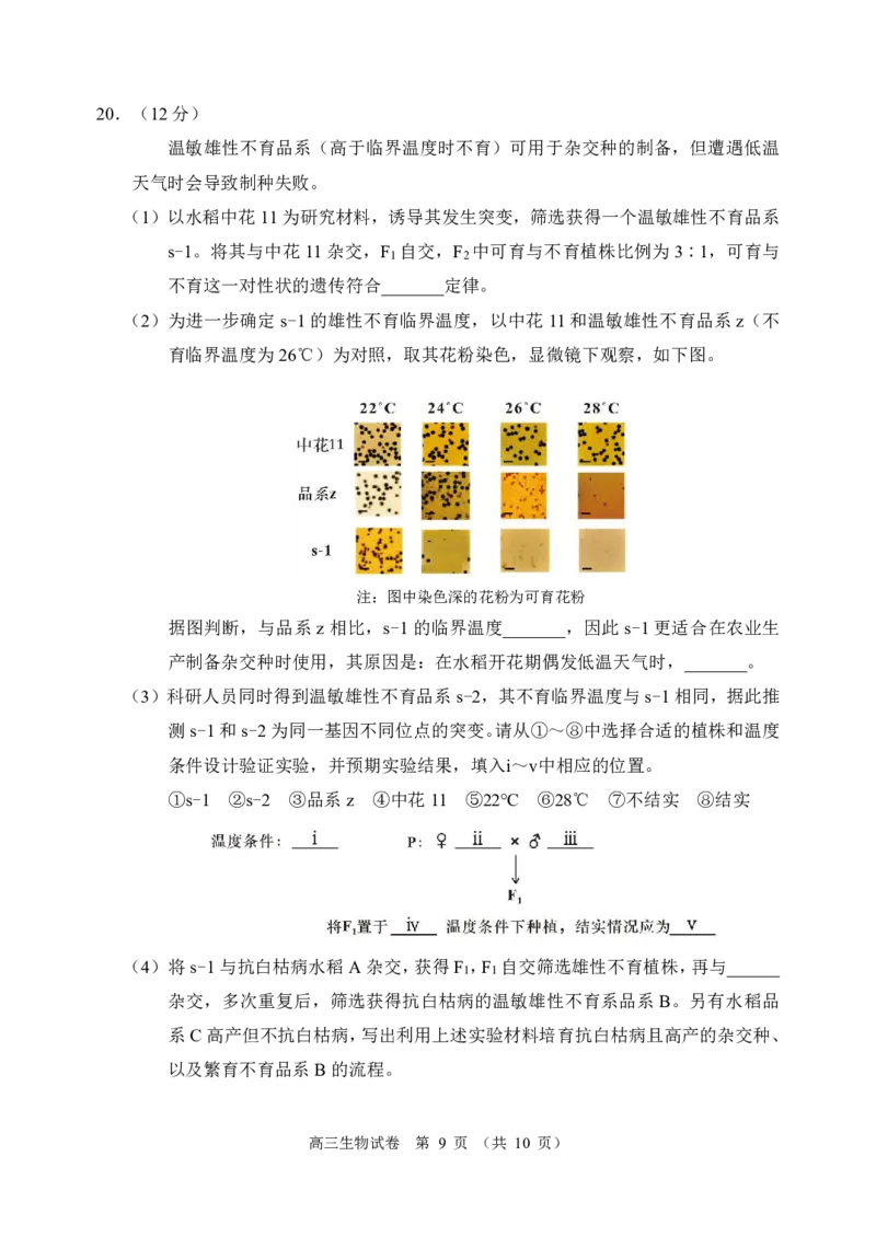 2024北京石景山高三一模生物试题及答案(1)_2024年4月_024月合集_2024届北京市石景山区高三一模