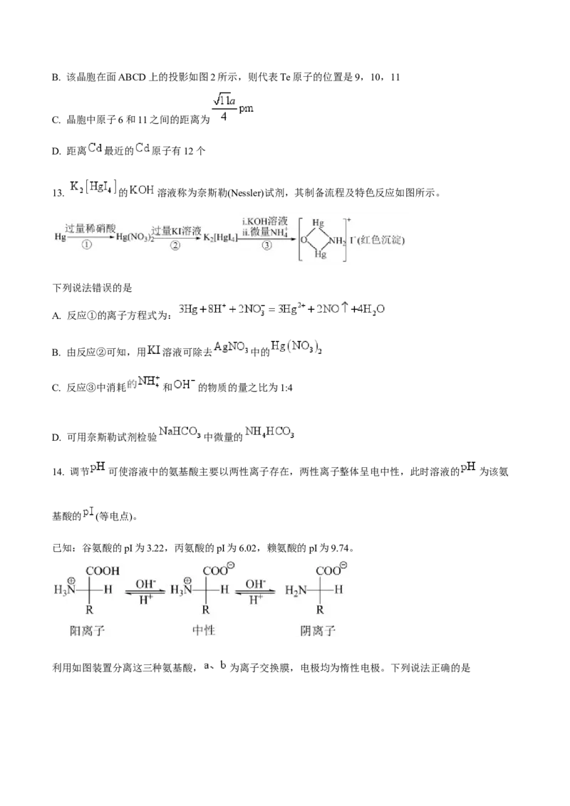 辽宁省五校（东北育才中学、辽宁省实验中学、大连24中学、大连八中、鞍山一中）2025届高三上学期期末考试化学Word版含答案_2025年1月