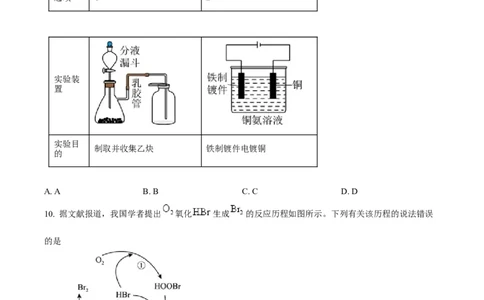 辽宁省五校（东北育才中学、辽宁省实验中学、大连24中学、大连八中、鞍山一中）2025届高三上学期期末考试化学Word版含答案_2025年1月