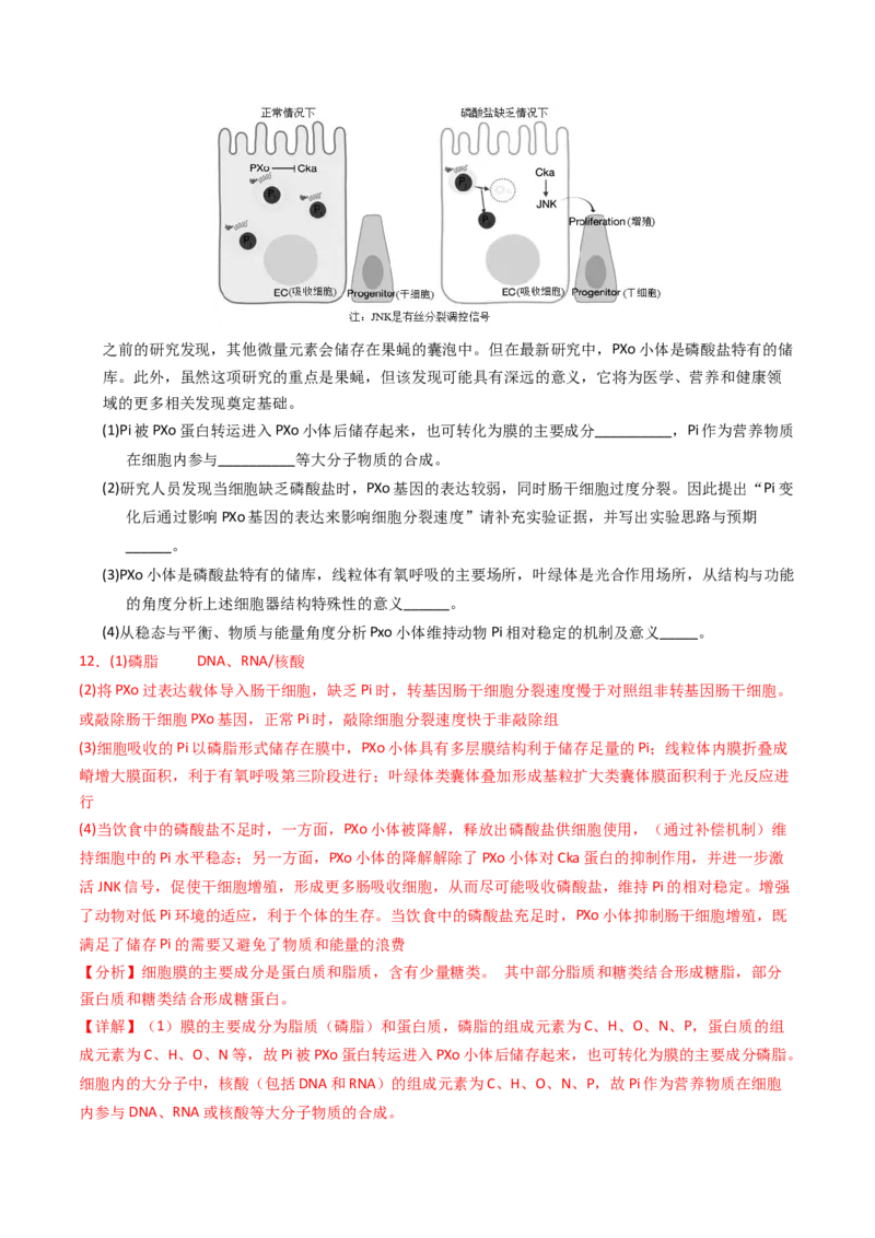 专题20实验与探究（解析卷）_近10年高考真题汇编（必刷）_十年（2014-2024）高考生物真题分项汇编（全国通用）_2023年高考真题和模拟题生物分项汇编（全国通用）