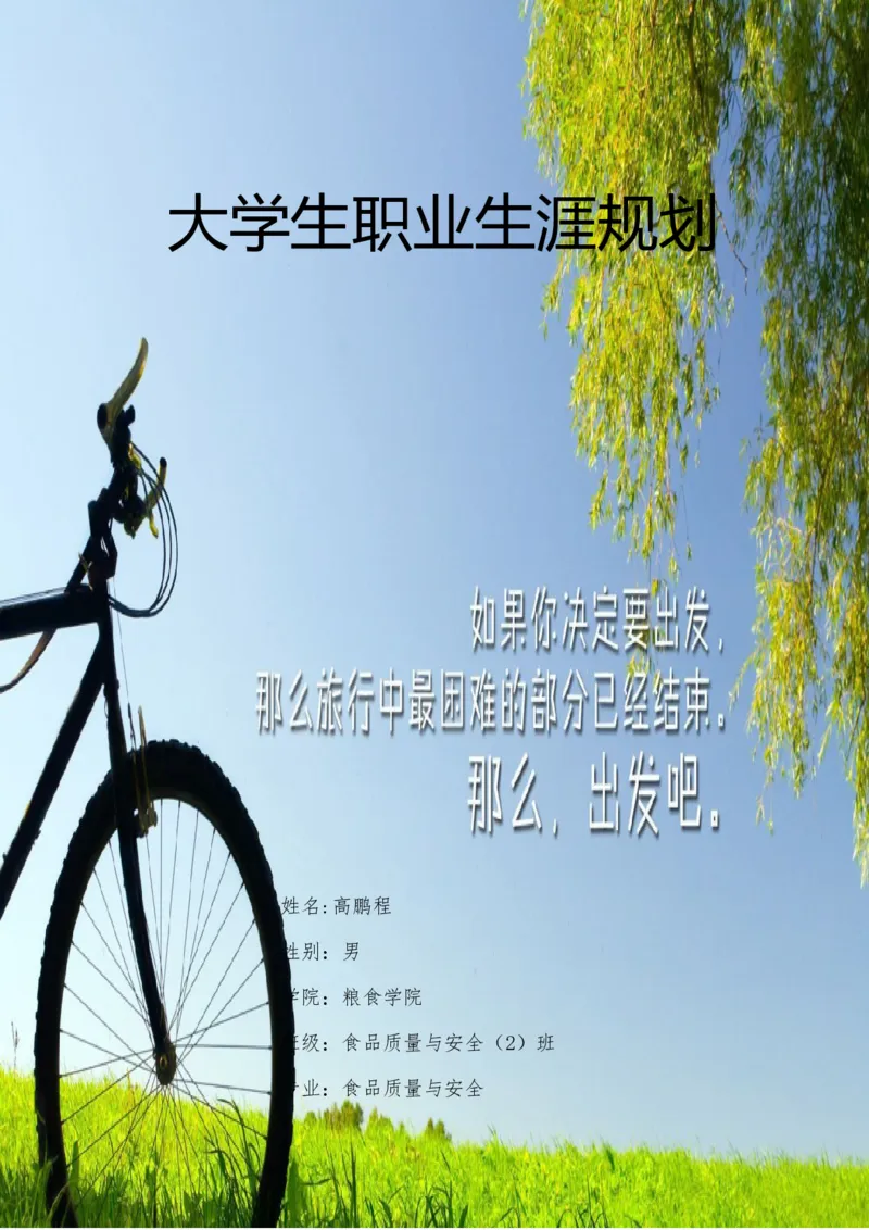 大学生职业生涯规划_E6-职业规划_72食品专业