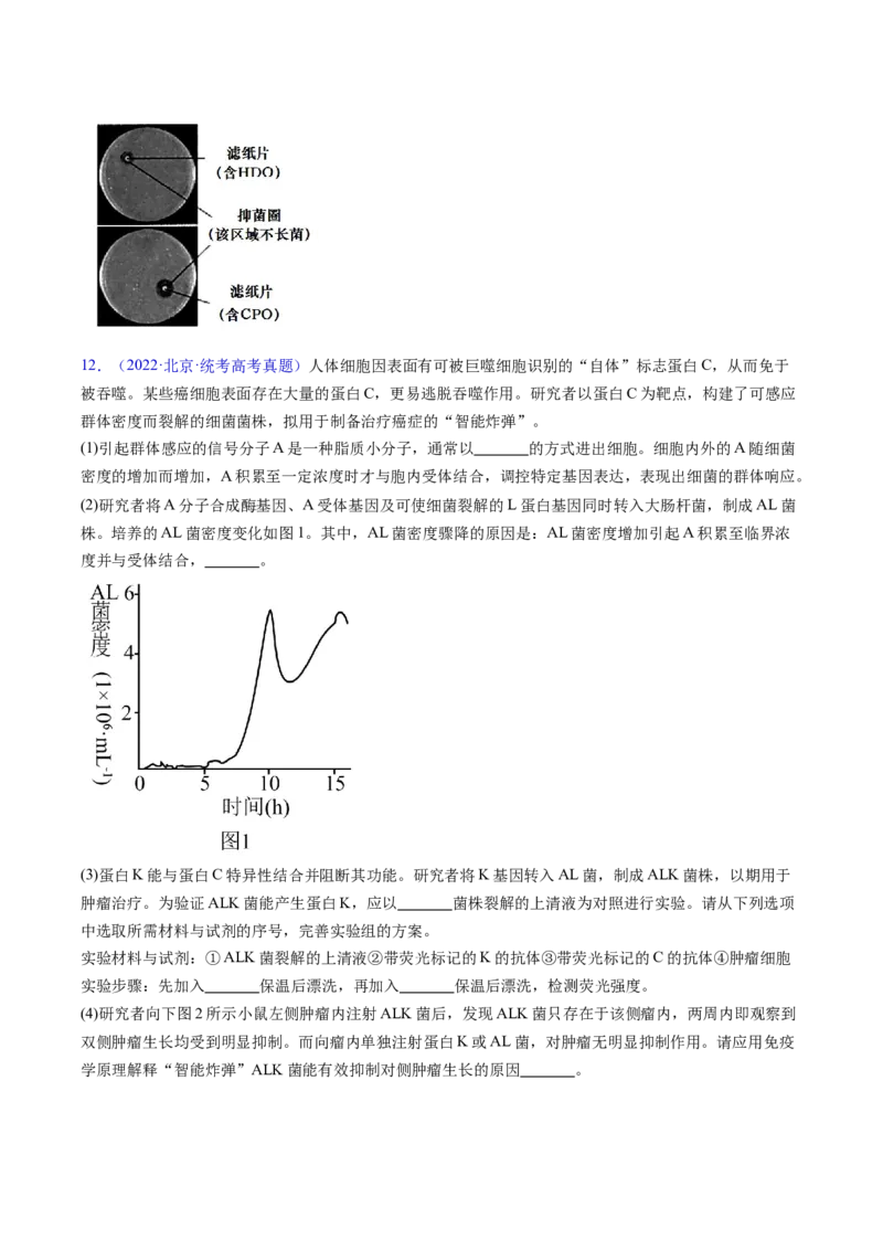 专题22实验与探究-五年（2019-2023）高考生物真题分项汇编（全国通用）（原卷版）_赠送：2008-2024全套高考真题_高考生物真题_送高考生物五年真题(2019-2023)分项汇编（全国通用）