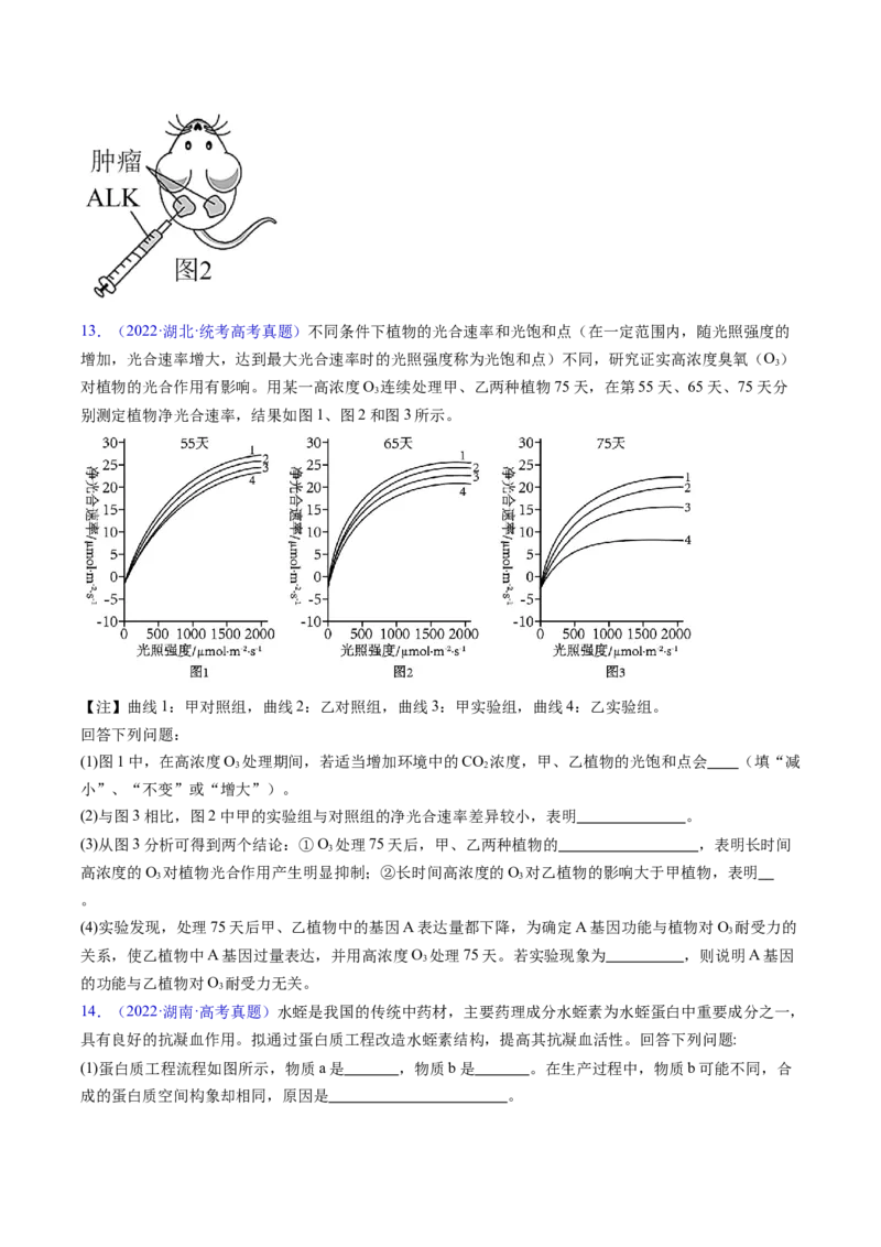 专题22实验与探究-五年（2019-2023）高考生物真题分项汇编（全国通用）（原卷版）_赠送：2008-2024全套高考真题_高考生物真题_送高考生物五年真题(2019-2023)分项汇编（全国通用）