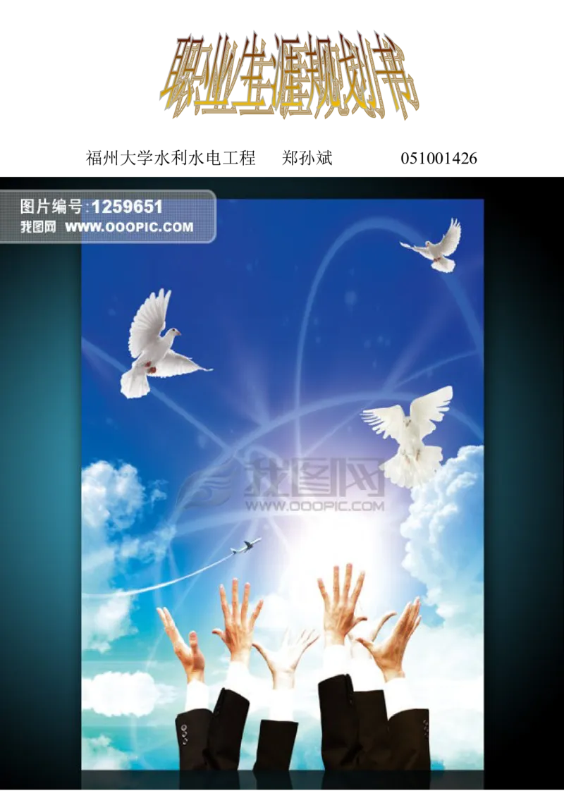 大学生个人职业生涯规划书_E6-职业规划_100水利专业