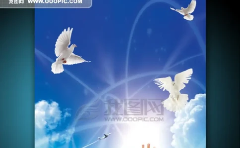 大学生个人职业生涯规划书_E6-职业规划_100水利专业