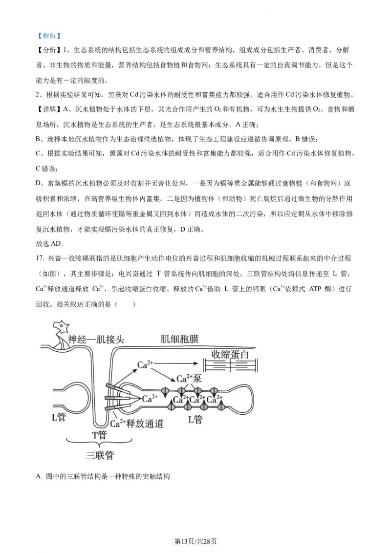 精品解析：江苏省基地大联考2023-2024学年高三上学期第一次质量监测生物试题（解析版）_2023年9月_01每日更新_16号_2024届江苏省基地大联考高三上学期第一次质量监测