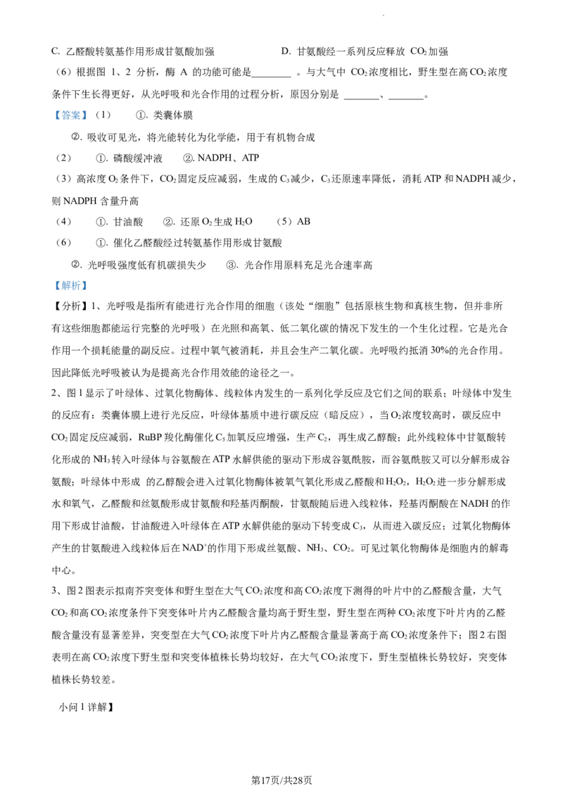 精品解析：江苏省基地大联考2023-2024学年高三上学期第一次质量监测生物试题（解析版）_2023年9月_01每日更新_16号_2024届江苏省基地大联考高三上学期第一次质量监测