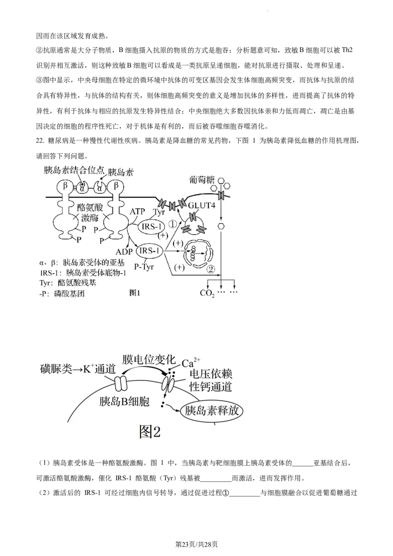 精品解析：江苏省基地大联考2023-2024学年高三上学期第一次质量监测生物试题（解析版）_2023年9月_01每日更新_16号_2024届江苏省基地大联考高三上学期第一次质量监测