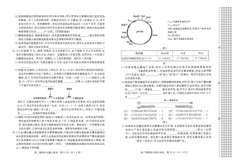 2024届河南省五市高三下学期二模理综试题_2024年4月_01按日期_30号_2024届河南省五市高三第二次联考_2024届河南省五市高三下学期二模理综试题
