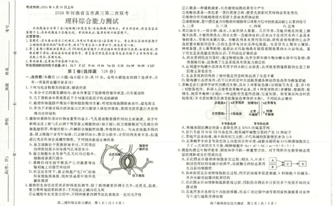 2024届河南省五市高三下学期二模理综试题_2024年4月_01按日期_30号_2024届河南省五市高三第二次联考_2024届河南省五市高三下学期二模理综试题