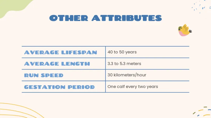 可爱动物（23）_10000+PPT模板大礼包_7丶卡通PPT模板_（100）26套可爱动物ppt模板_主图用