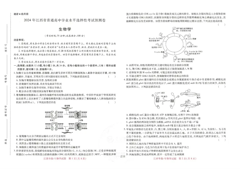 王后雄高考押题预测卷2024江西专版-生物_2024高考押题卷_22024王hou雄_（新高考）2024王后雄押题预测卷（分科版）_6.生物