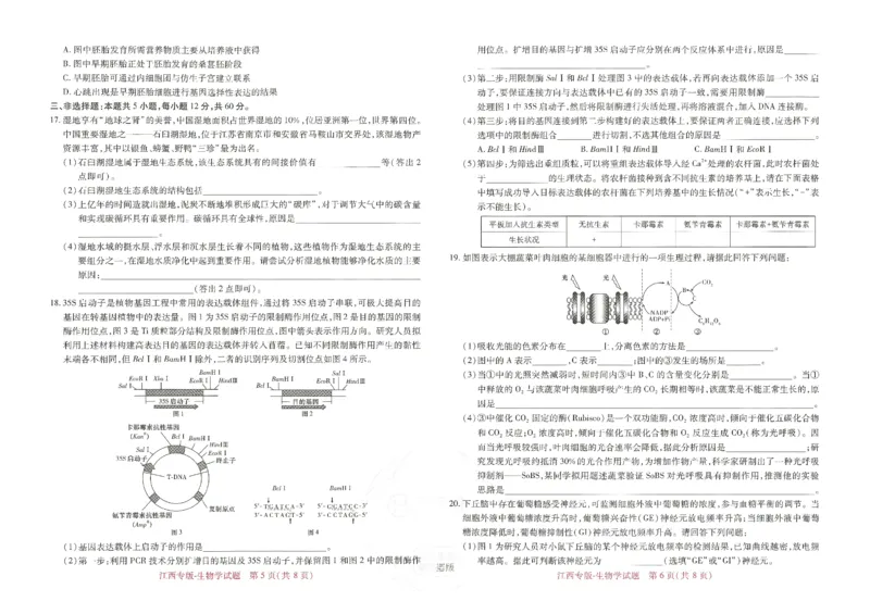 王后雄高考押题预测卷2024江西专版-生物_2024高考押题卷_22024王hou雄_（新高考）2024王后雄押题预测卷（分科版）_6.生物