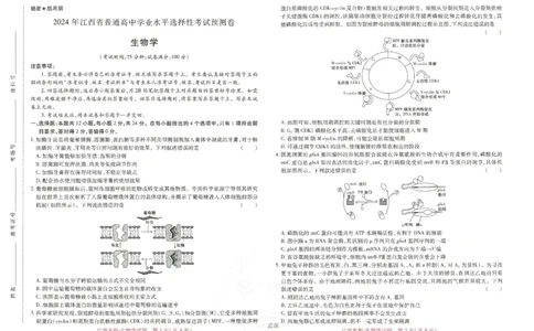 王后雄高考押题预测卷2024江西专版-生物_2024高考押题卷_22024王hou雄_（新高考）2024王后雄押题预测卷（分科版）_6.生物