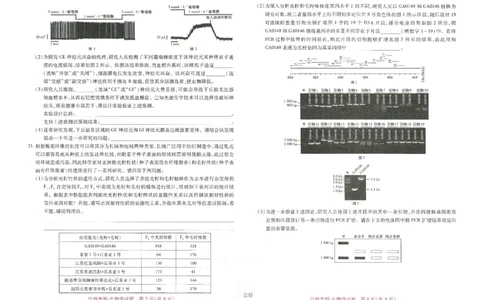 王后雄高考押题预测卷2024江西专版-生物_2024高考押题卷_22024王hou雄_（新高考）2024王后雄押题预测卷（分科版）_6.生物