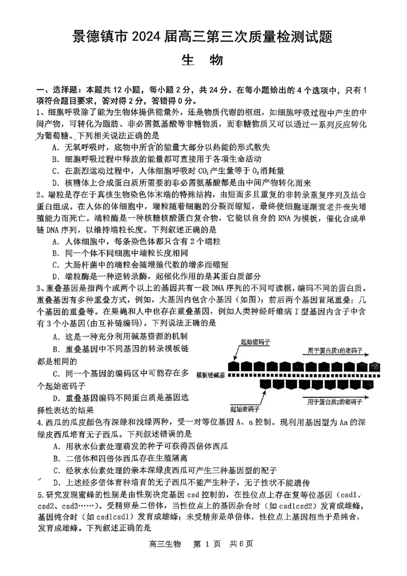 2024届江西省景德镇市高三下学期第三次质量检测生物试题_2024年4月_01按日期_24号_2024届江西省景德镇市高三第三次质量检测_2024届江西省景德镇市高三下学期第三次质量检测生物试题