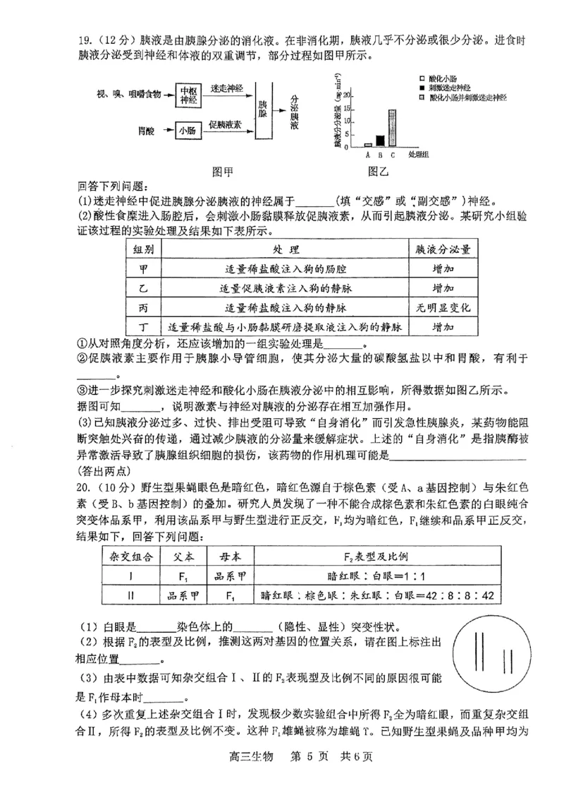 2024届江西省景德镇市高三下学期第三次质量检测生物试题_2024年4月_01按日期_24号_2024届江西省景德镇市高三第三次质量检测_2024届江西省景德镇市高三下学期第三次质量检测生物试题