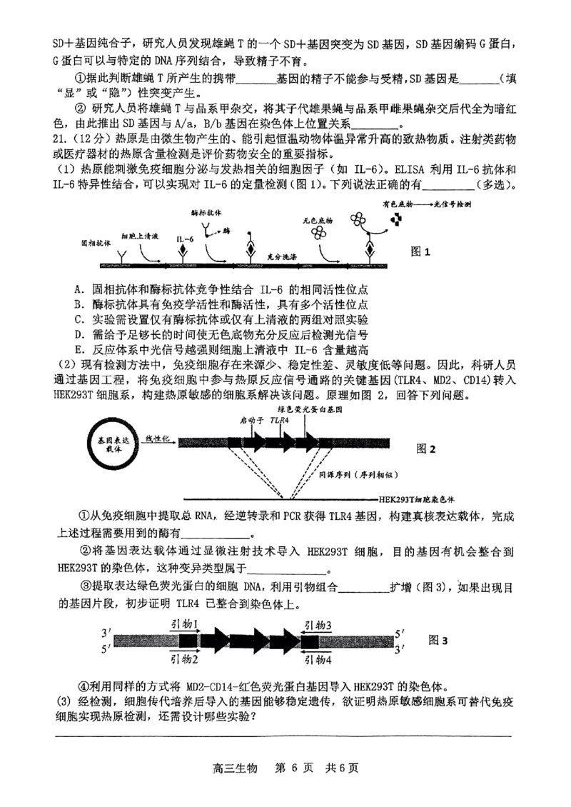 2024届江西省景德镇市高三下学期第三次质量检测生物试题_2024年4月_01按日期_24号_2024届江西省景德镇市高三第三次质量检测_2024届江西省景德镇市高三下学期第三次质量检测生物试题