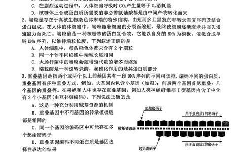 2024届江西省景德镇市高三下学期第三次质量检测生物试题_2024年4月_01按日期_24号_2024届江西省景德镇市高三第三次质量检测_2024届江西省景德镇市高三下学期第三次质量检测生物试题