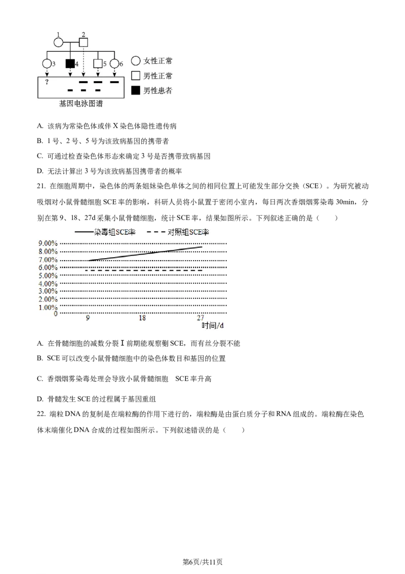 精品解析：2024届河南省鹤壁市高三上学期第二次模拟考试生物试题（原卷版）(1)_2023年10月_0210月合集_2024届河南省鹤壁市高中高三上学期第二次模拟考试