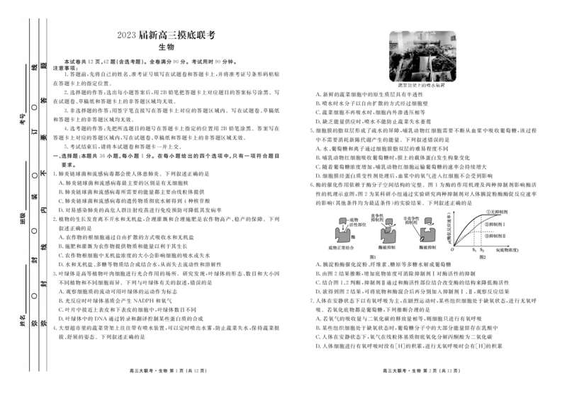 新高三摸底联考生物正文_2023年7月_01每日更新_26号_2023届衡水金卷高三9月联考（老高考）_试卷