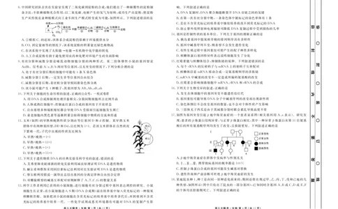 新高三摸底联考生物正文_2023年7月_01每日更新_26号_2023届衡水金卷高三9月联考（老高考）_试卷