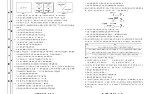 新高三摸底联考生物正文_2023年7月_01每日更新_26号_2023届衡水金卷高三9月联考（老高考）_试卷