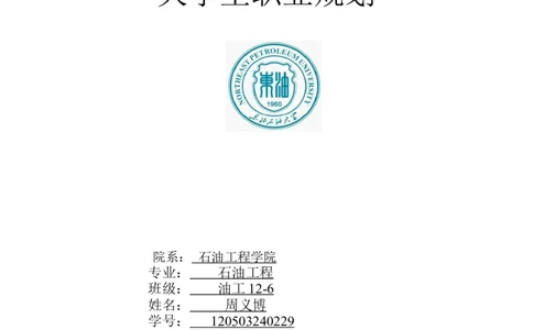 大学生职业生涯规划书(石油工程类)_E6-职业规划_94其他专业