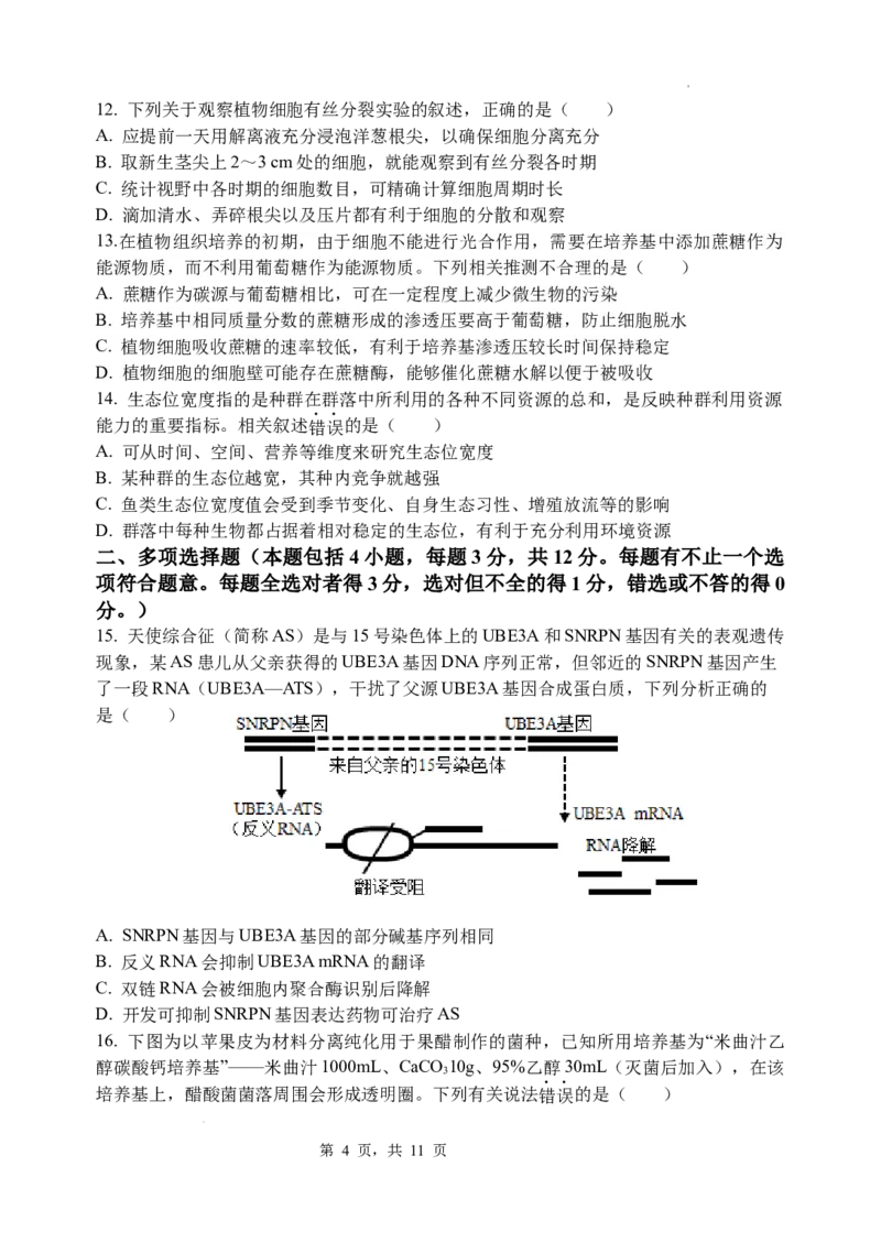 2023&mdash;2024学年春学期期初学情调研试卷高三生物_2024年2月_01每日更新_29号_2024届江苏省无锡市四校高三下学期期初学期调研
