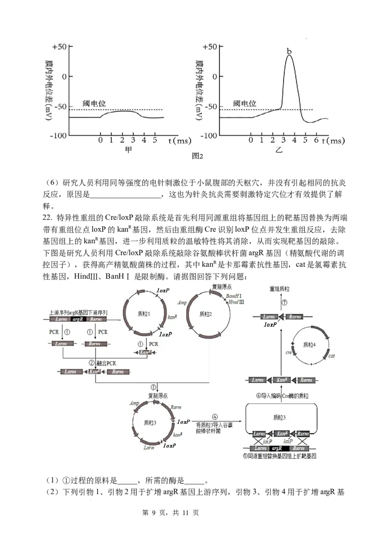 2023&mdash;2024学年春学期期初学情调研试卷高三生物_2024年2月_01每日更新_29号_2024届江苏省无锡市四校高三下学期期初学期调研