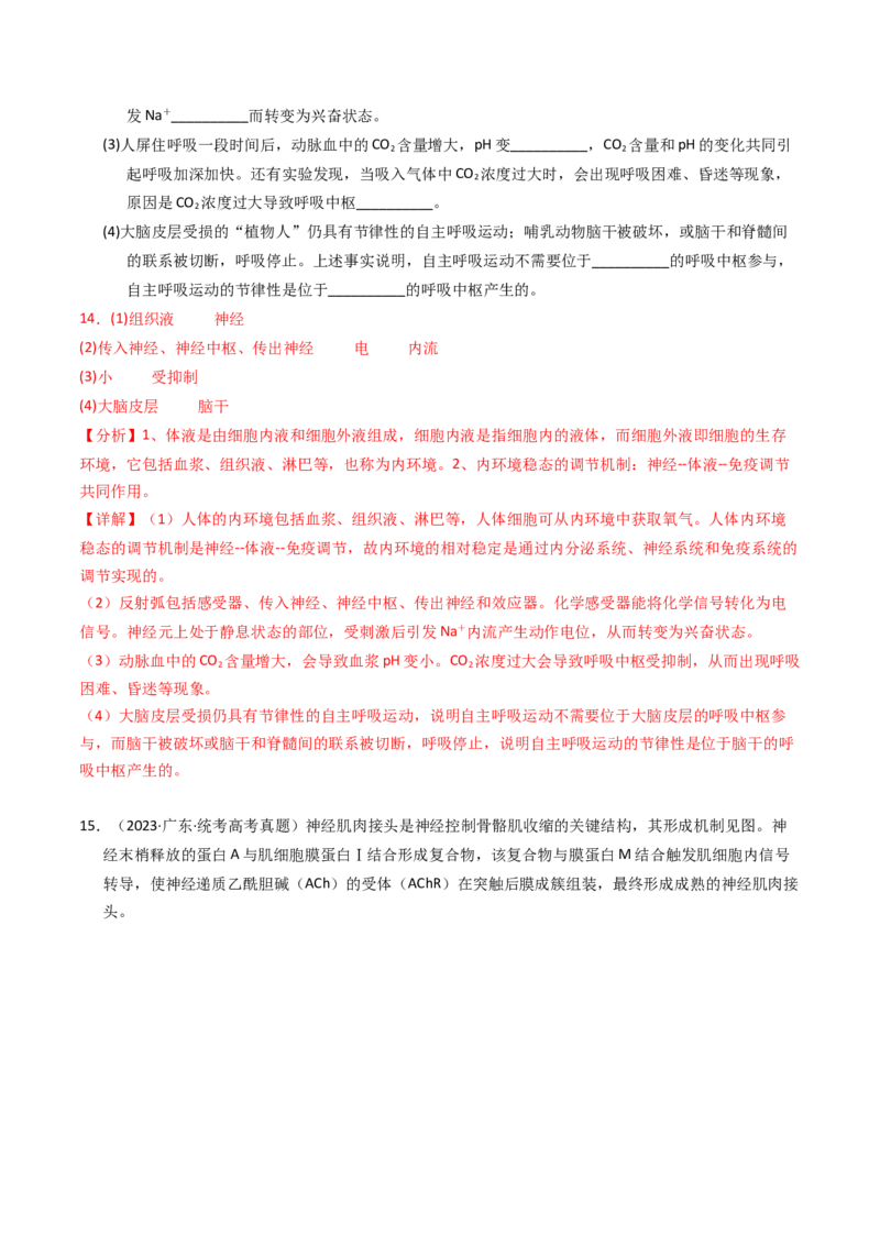 专题12神经调节（解析卷）_近10年高考真题汇编（必刷）_十年（2014-2024）高考生物真题分项汇编（全国通用）_2023年高考真题和模拟题生物分项汇编（全国通用）