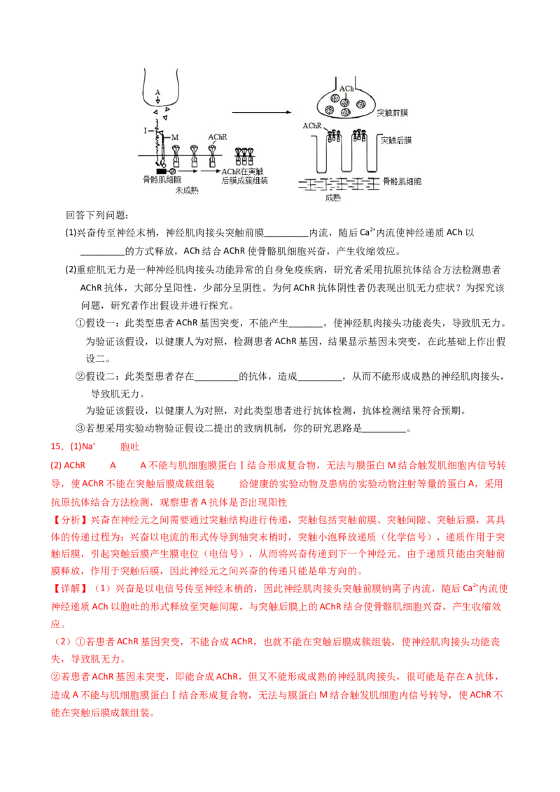 专题12神经调节（解析卷）_近10年高考真题汇编（必刷）_十年（2014-2024）高考生物真题分项汇编（全国通用）_2023年高考真题和模拟题生物分项汇编（全国通用）