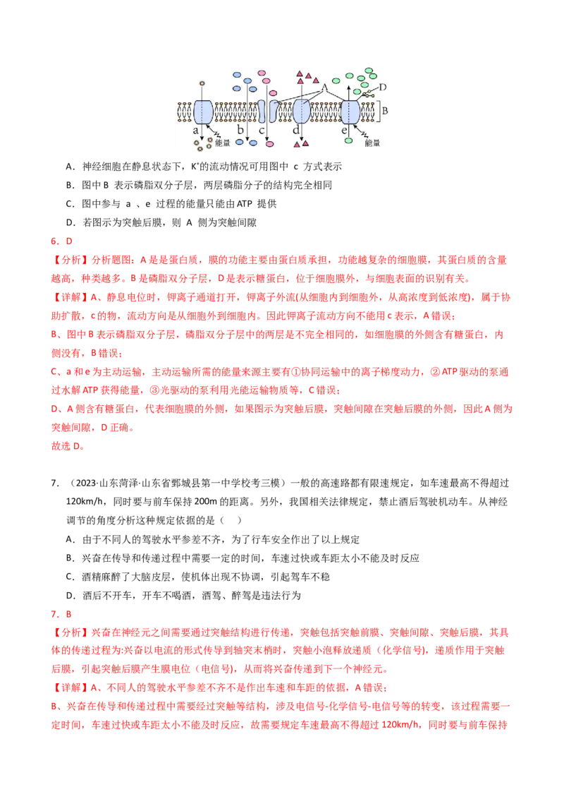 专题12神经调节（解析卷）_近10年高考真题汇编（必刷）_十年（2014-2024）高考生物真题分项汇编（全国通用）_2023年高考真题和模拟题生物分项汇编（全国通用）