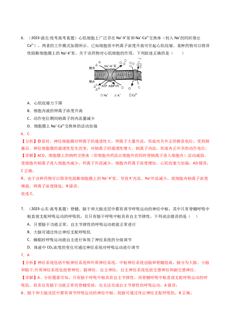 专题12神经调节（解析卷）_近10年高考真题汇编（必刷）_十年（2014-2024）高考生物真题分项汇编（全国通用）_2023年高考真题和模拟题生物分项汇编（全国通用）