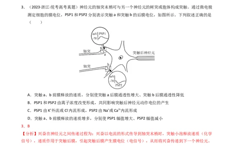 专题12神经调节（解析卷）_近10年高考真题汇编（必刷）_十年（2014-2024）高考生物真题分项汇编（全国通用）_2023年高考真题和模拟题生物分项汇编（全国通用）