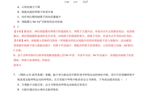 专题12神经调节（解析卷）_近10年高考真题汇编（必刷）_十年（2014-2024）高考生物真题分项汇编（全国通用）_2023年高考真题和模拟题生物分项汇编（全国通用）