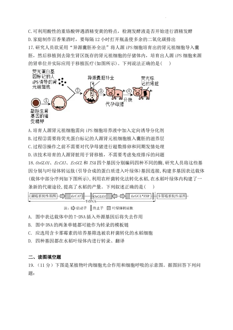 生物-河南省焦作市博爱一中2023&mdash;2024学年高三（上）10月月考(1)_2023年10月_0210月合集_2024届河南省焦作市博爱县第一中学高三上学期10月月考