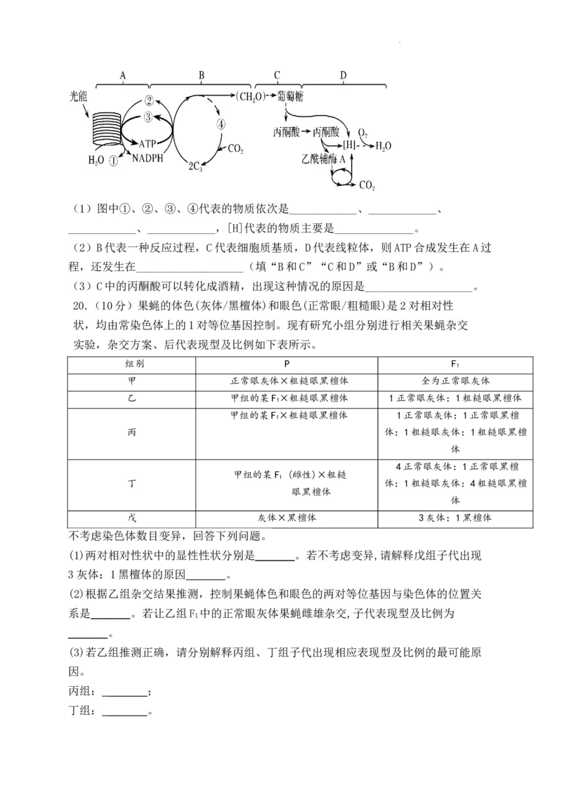 生物-河南省焦作市博爱一中2023&mdash;2024学年高三（上）10月月考(1)_2023年10月_0210月合集_2024届河南省焦作市博爱县第一中学高三上学期10月月考
