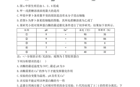 生物-河南省焦作市博爱一中2023&mdash;2024学年高三（上）10月月考(1)_2023年10月_0210月合集_2024届河南省焦作市博爱县第一中学高三上学期10月月考