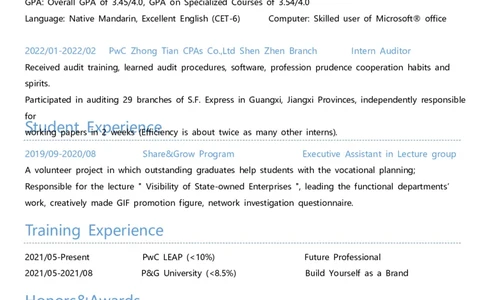 2高端简洁英文CV简历(69)_各类简历_简历模板(1)_英文简历模版86套2025版_
