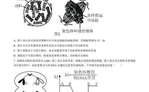 辽宁省名校协作体2023-2024学年高三上学期9月联考生物(1)_2023年9月_029月合集_2024届辽宁省名校协作体高三上学期9月联考